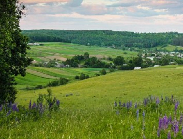 На Волині створять Національний природній парк