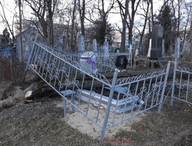 У Ковелі сильний вітер повалив дерева на кладовищі. ФОТО