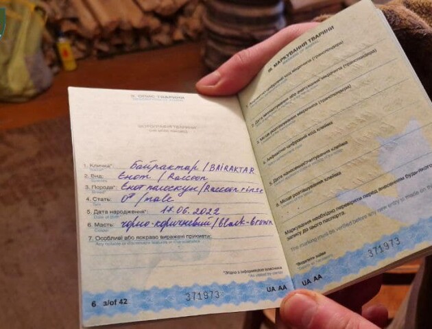 Крав речі та тягав кицьку за хвіст: у князівській бригаді «служить» незвичний солдат Байрактар