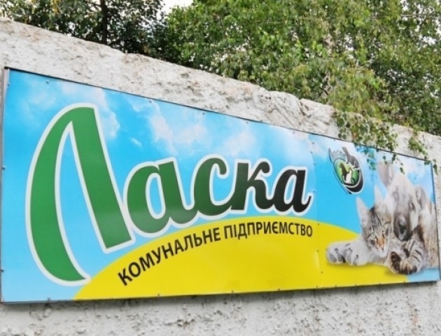 Призначили нового директора КП «Ласка»