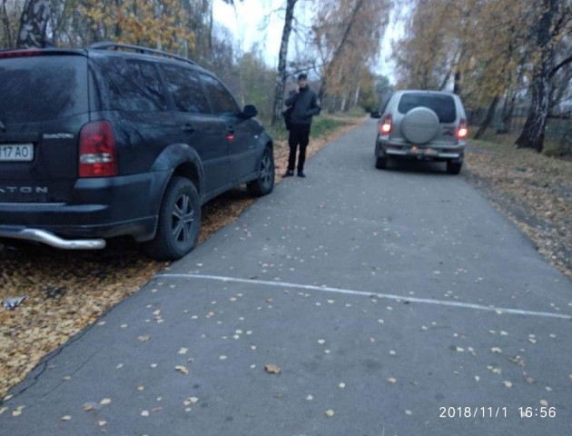 У луцькому парку агресивна водійка погрожувала муніципалам. ФОТО