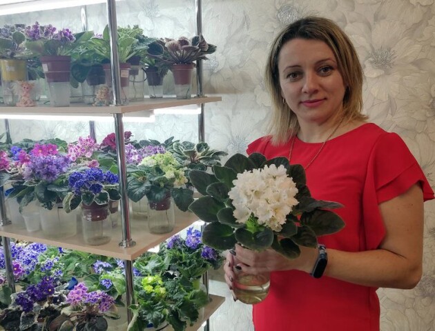 500 видів фіалок зібрала жінка з Волині
