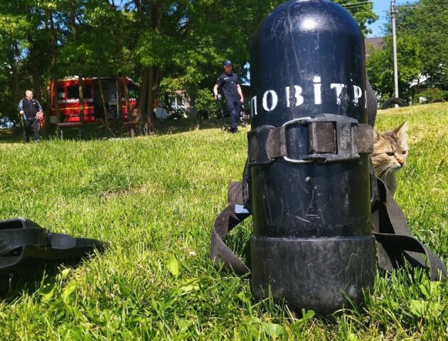 На Волині обстежують місця для купання: що знаходять водолази. ФОТО, ВІДЕО