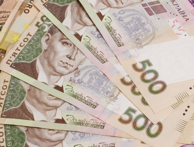 Волинські митники розповіли, як можна поповнити державний бюджет