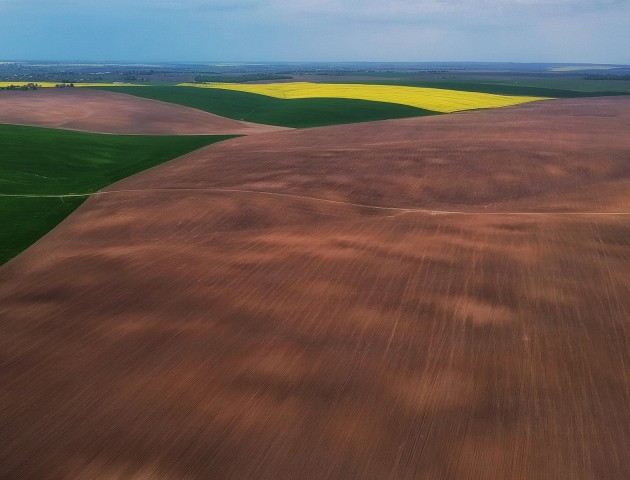 Весняні кольори полів від волинського фотографа. ФОТО