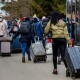 Чверть працездатних біженців з України вже знайшли роботу в Польщі