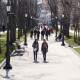 МОЗ оприлюднило правила відвідування парків та перукарень після 11 травня