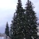Де у Луцьку найгарніша ялинка. Думка дизайнера