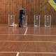 Собака, селфі, подарунки: курйози з виборчих дільниць на Волині