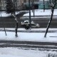У Луцьку патрульні в'їхали у таксі. Дитина отримала забій ребра