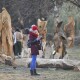 У Луцьку урочисто відкрили парк дерев'яних скульптур