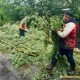 Через погану погоду в Луцьку перенесли толоку