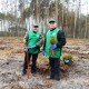 На Волині на місці вирубаної ділянки посадили молодий ліс