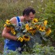 Ukraїner зняв відео про лучанина Василя Рижука, який заквітчує дороги