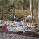На Волині тих, хто «свинячить» у лісі, ловитимуть у фотопастки