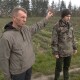 На Волині орендар переорав гектар полуниці і засіяв пшеницею: господар землі хоче судитись