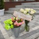 У Ковелі перехожим роздають квіти із крамниці