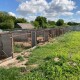 Царство котиків і собачок: волинянка створила притулок для тварин, яким не пощастило