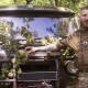 Військового медика з Луцька нагородили орденом «За мужність»