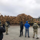 У Камінь-Каширському районі – масштабні обшуки на лісопильних підприємствах