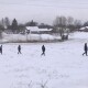 На Волині добровольці призупинили пошуки зниклого пенсіонера