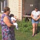 Переселенцям у Торчинській громаді допомагають продуктами  та з пошуком роботи