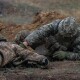 Як бійці «сталевої сотки» навчаються такмеду. ФОТО