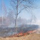 Спалювали суху траву. На Волині рятувальники  загасили чотири пожежі
