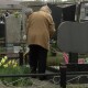 Як курсуватиме громадський транспорт у Луцьку в Провідну неділю