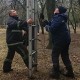 У Луцьку пожежники врятували кошеня, яке добу сиділо на дереві. ФОТО. ВІДЕО
