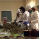 Луцькі студенти виготовили понад дві тонни мазей і чаїв для воїнів
