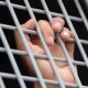 В Міноборони розповіли, скільки українців загинули в російському полоні