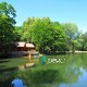 Заказник «Воротнів» - куточок раю посеред лісу біля Луцька. ФОТО