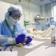 Коронавірус в Україні: 481 новий хворий та 36 смертей