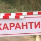 У МОЗ розповіли, чи повернеться Україна до жорсткого карантину