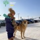 Засніжені будинки «Інвестора». ФОТО