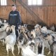 Фермер з Волині виготовляє козяче морозиво