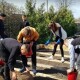 «Майбутнє лісу у твоїх руках»: на Волині діти посадили 8,5 гектара лісу  