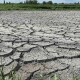 «Луцькводоканал» першим в Україні буде виробляти органічне добриво з біомулу