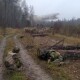 Показали, як волинські військові біля білоруського кордону вчаться зупиняти ворожу техніку
