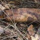 Сьогодні у Ковельському районі будуть знешкоджувати вибухівки з Другої світової війни