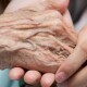 Хоспіс «переселять» у Боголюби уже найближчим часом