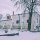 Дуб біля будинку Косачів у Луцьку хочуть зробити пам'яткою природи