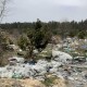 Волинські ліси перетворюються на сміттєві полігони. Що з цим робити?