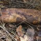 У Ковельському районі сьогодні будуть знешкоджувати вибухівки з Другої світової війни