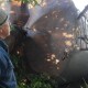 У Луцькому районі через пориви вітру 170 хат залишилися без води