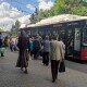 У Луцьку нова ціна за проїзд: як це коментують перевізники, лучани та влада