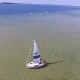 Чому міліє Світязь