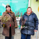 Три жіночі історії: хто продає котики в центрі Луцька? ФОТО