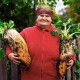 У волинян на городі вродили гігантські буряки. ФОТО